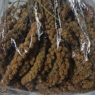 1kg kê chùm cho hamster, chim, vẹt