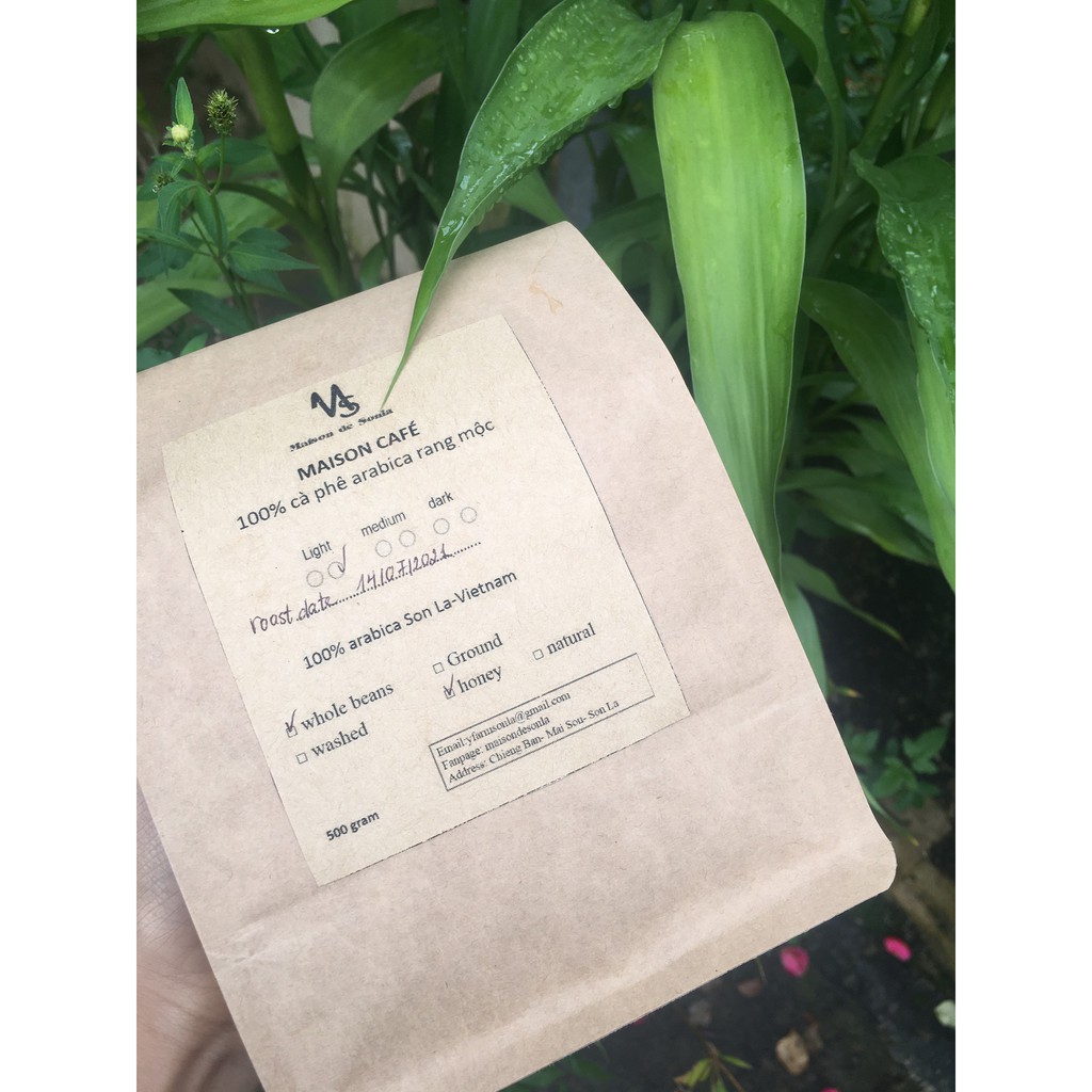 Cà phê Arabica Sơn La rang medium