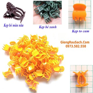 Kẹp Bướm cho Hoa Lan, hoa lan hồ điệp, hoa hồng các loại cây cảnh...