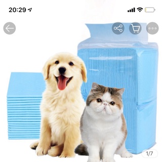 [Vô Địch giá rẻ] Tã lót chuồng cho thú cưng, tã lót than hoạt tính
