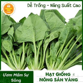 Hạt giống Cải Bó Xôi Chịu Nhiệt ( Gói 10 Gram ) - Nông Sản Vàng