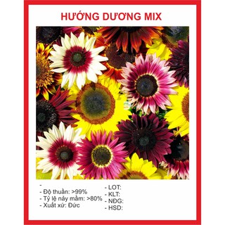 Hạt Giống Hướng Dương Mix