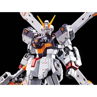 Bộ đồ chơi mô hình lắp ráp RG 1/144 CROSSBONE GUNDAM X1 [TITANIUM FINISH]