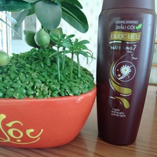 Dầu gội Thái Dương 7 chai 200ml