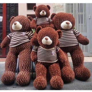 Gấu TEDDY nhiều kích thước
