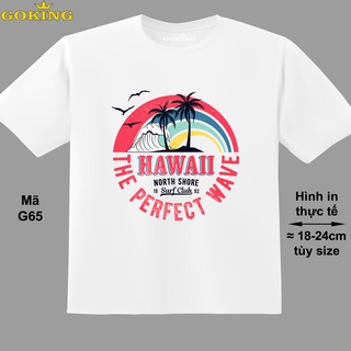 HAWAII, mã G65. Áo thun trẻ em in siêu đẹp cho bé trai, bé gái. Áo phông thoát nhiệt GOKING hàng hiệu cao cấp