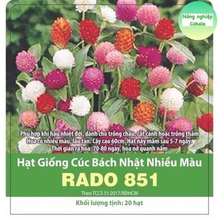 Hạt Giống Hoa Cúc Bạch Nhật Nhiều Màu (0.1gr)