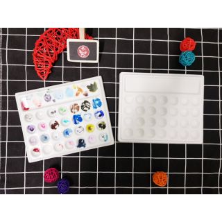 Palette Giả sứ chống bám màu