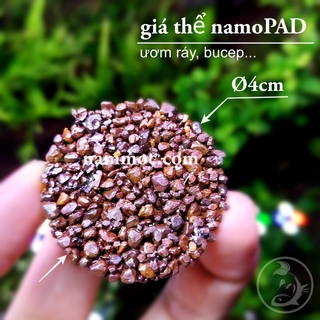 Giá Thể Ươm Cây Namoc (tròn 4cm) | Giá Thể Ươm Ráy, Bucep... | Phụ kiện thuỷ sinh Nấm Aquatools
