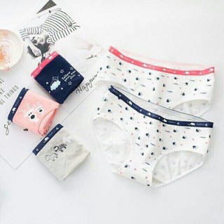 SET HỘP 5 QUẦN CHÍP COTTON
