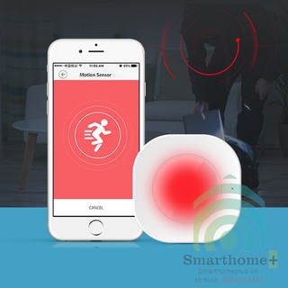 Cảm Biến Báo Động Hồng Ngoại Gắn Trần Dùng Pin Sạc Wifi Tuya SHP-PI5