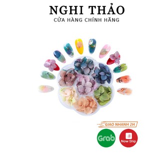 Hoa khô nail trang trí móng tay 7 màu