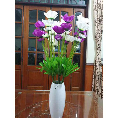hoa cánh bướm boxi