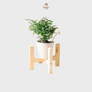 Đôn gỗ để cây cảnh trang trí đường kính 15cm FEGO/ Kệ để bàn gỗ nhỏ gọn kê chậu hoa