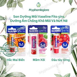 Son dưỡng vaseline FITO 5in1