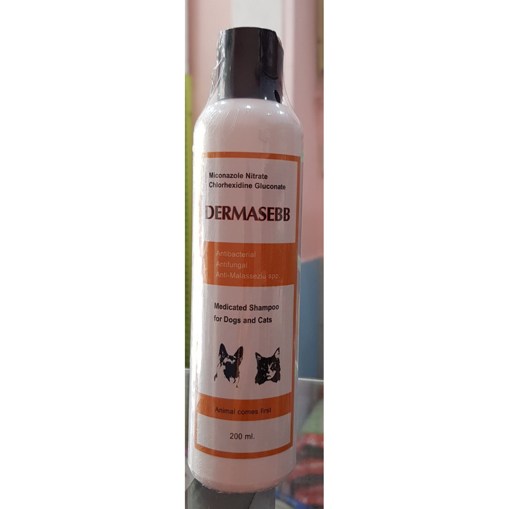 DẦU TẮM DERMASEBB
