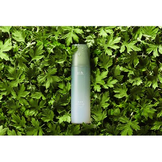 Xịt khoáng Hanyul Young Mugwort Moisture Soothing Mist 150ml