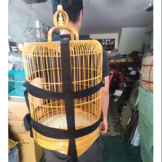 Balo đeo lồng chim