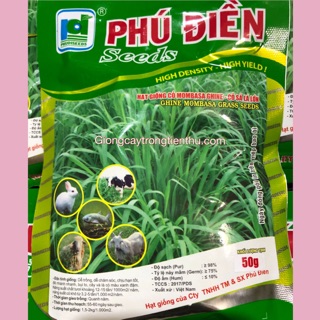 HẠT GIỐNG CỎ CHĂN NUÔI LÂU NĂM MOMBASA GHINE 50gr