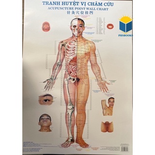 Sách - Tranh châm cứu