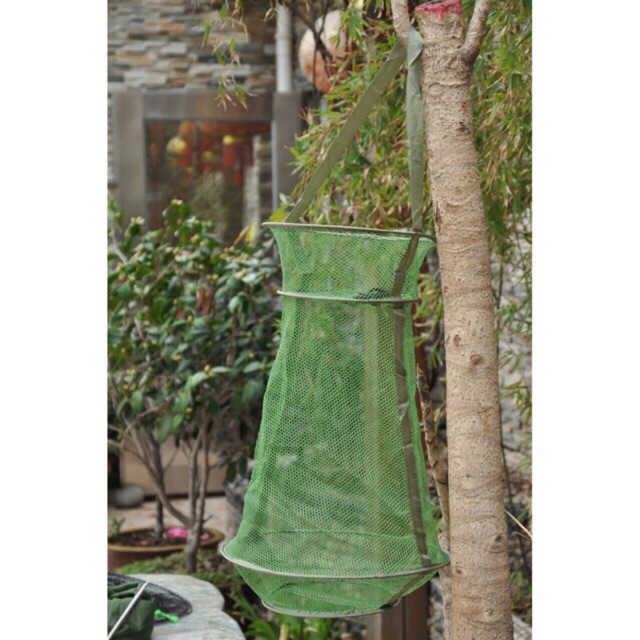 Rọ cá bộ đội