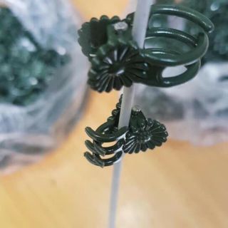 100 kẹp lan hình bướm cỡ đại