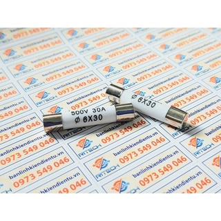 [Combo 5 chiếc] Cầu chì sứ R058 30A 500V kích thước 6X30MM
