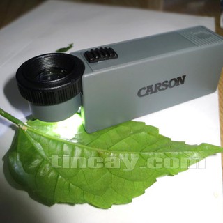 Kính lúp cầm tay có đèn Carson 11x có đèn