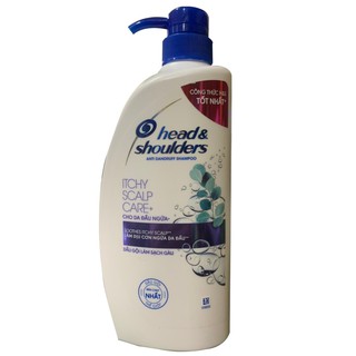 Dầu gội khuynh diệp cho da đầu ngứa Head and Shoulders 650gr