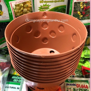 COMBO 10 CHẬU NHỰA TRỒNG LAN GIẢ GỐM ĐẤT NUNG (Phi 23)
