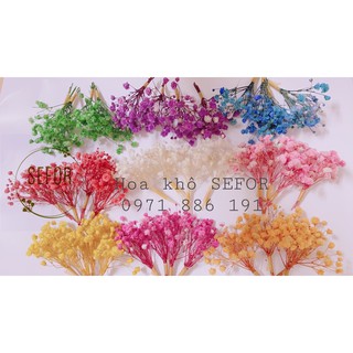 Baby vụn ❤Hoa Baby ❤ Hoa khô làm thiệp, đồ handmad, đổ resin