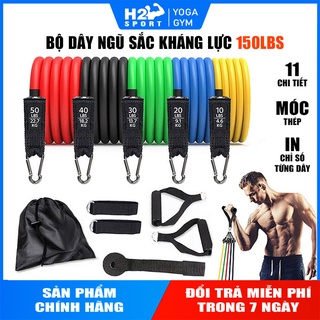 BỘ 5 DÂY NGŨ SẮC KHÁNG LỰC HỖ TRỢ TẬP GYM ĐA NĂNG CAO CẤP