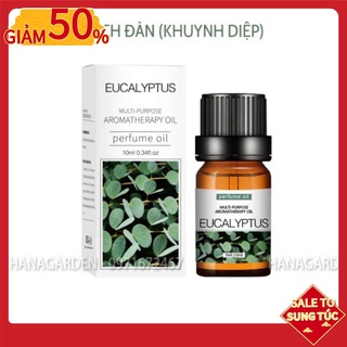 Tinh Dầu Bạch Đàn - Khuynh Diệp (Eucalyptus) Mát Mẻ Khử Mùi 🥝MUA 5 TẶNG 1🥝 Thiên Nhiên Thư Giãn. Dung tích: 10ml
