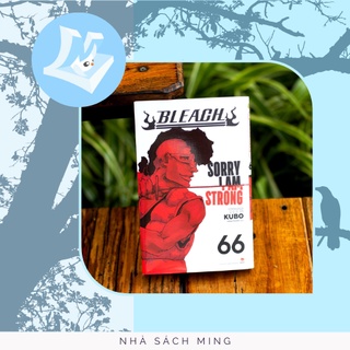 bookmark Bleach 66