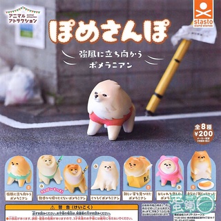Đồ chơi Gacha mô hình chó Pome siêu đáng yêu 5cm cập nhật thường xuyên HIMECHAN