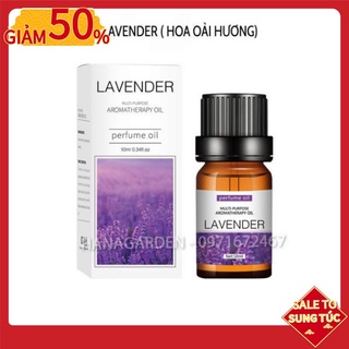 Tinh Dầu Hoa Oải Hương (Lavender) Hương Thơm Thư Giãn  MUA 5 TẶNG 1 Thiên Nhiên Giảm Stress. Dung tích: 10ml