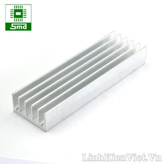 Tản nhiệt 100x30x15mm