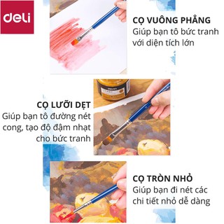 Bộ cọ vẽ chuyên nghiệp Deli - dùng cho màu nước/bột/sơn acrylic -Set 4/6 cây- 73885/73866/73867 [Deli]
