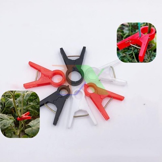 Gói 1000 Kẹp nhựa cố định dây leo KDL-12, Kẹp cà chua, Kẹp dưa lưới, dưa leo (1.2cm)