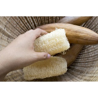 XƠ MƯỚP TỰ NHIÊN