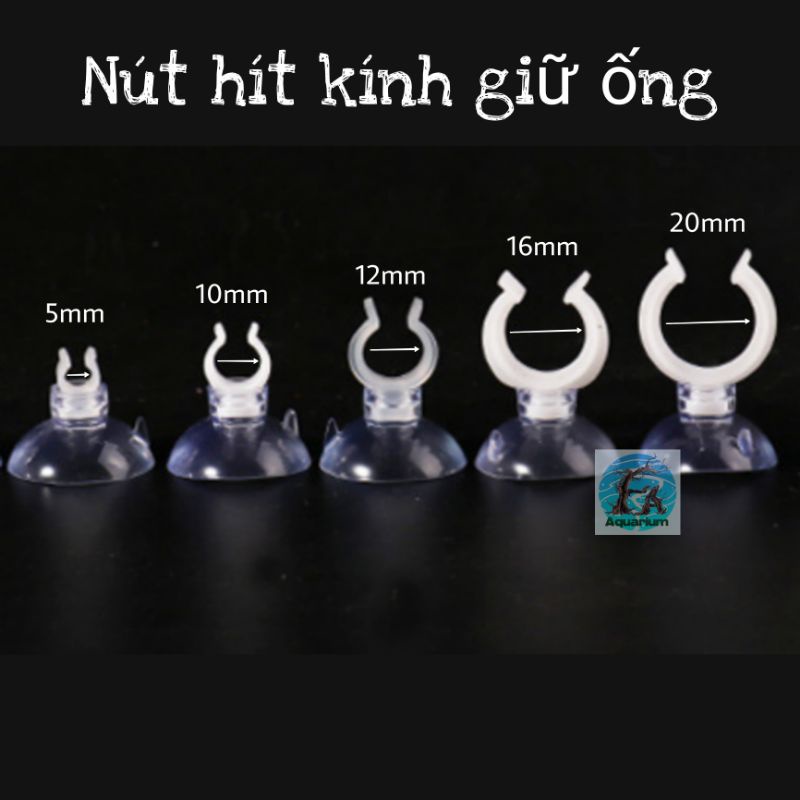 [2 Cái] NÚT HÍT KÍNH GIỮ ỐNG