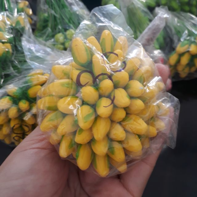 Nụ hoa mai