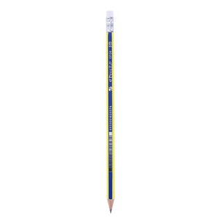 HỘP 10 CÂY BÚT CHÌ GỖ THIÊN LONG HB GP-04