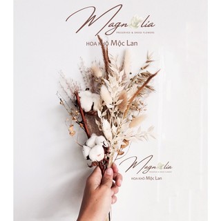 Set hoa khô bông gòn Cotton Mỹ tông màu nâu kem vintage, trang trí phong cách bắc âu
