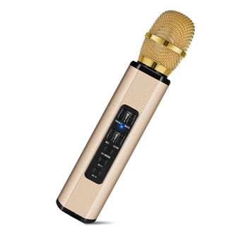 Micro Karaoke Không Dây PKCB204 kết nối bluetooth, thẻ nhớ - Hàng Chính Hãng