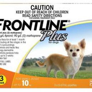 nhỏ gáy fronline cho chó mèo