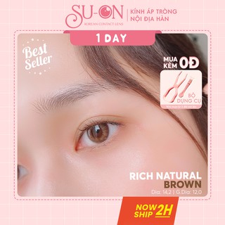 [Video thật] Lens 1 ngày Ann365 RICH NATURAL BROWN áp tròng 14,2mm, màu nâu trong tự nhiên Hàn Quốc, siêu êm đeo cả ngày