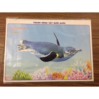 tranh A4 nhiều  chủ đề