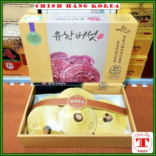 Nấm linh chi hộp quà hàn quốc thượng hạng 1kg - Thanh lọc cơ thể, phòng ngừa ung thư - tranglinh