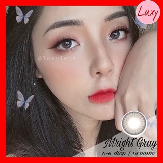[Ảnh Thật] Lens Mright Gray 0 - 6 Độ Lens Hàn Nhập Khẩu Chính Hãng - LUXY LENS